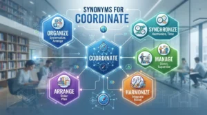 synonyms for coordinate