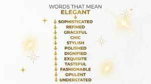 synonyms for elegant