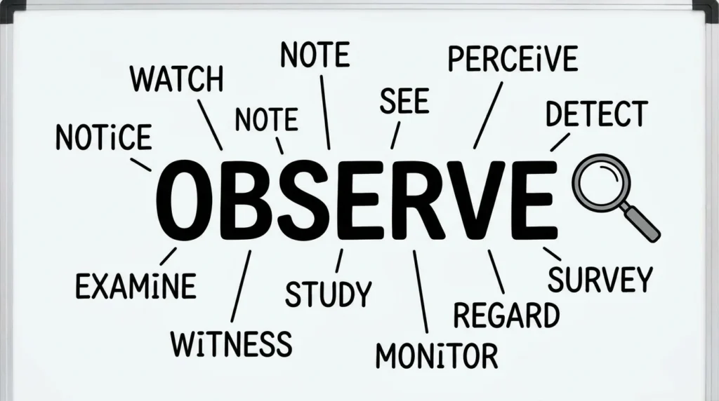 synonyms for observe