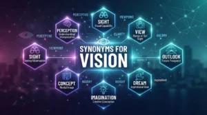 synonyms for vision